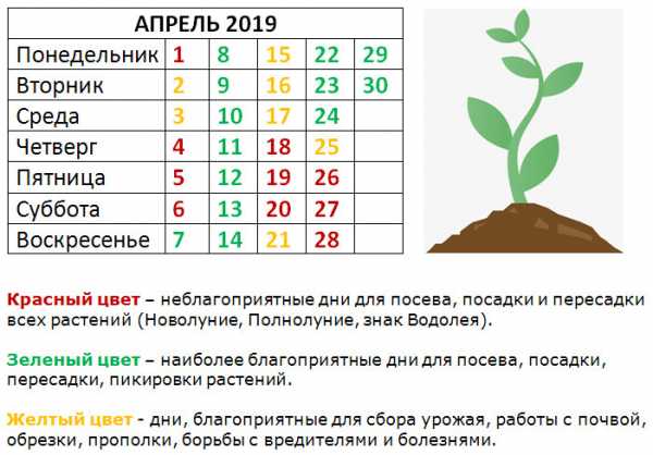 Лунный календарь на апрель 2019 года садовода и огородника