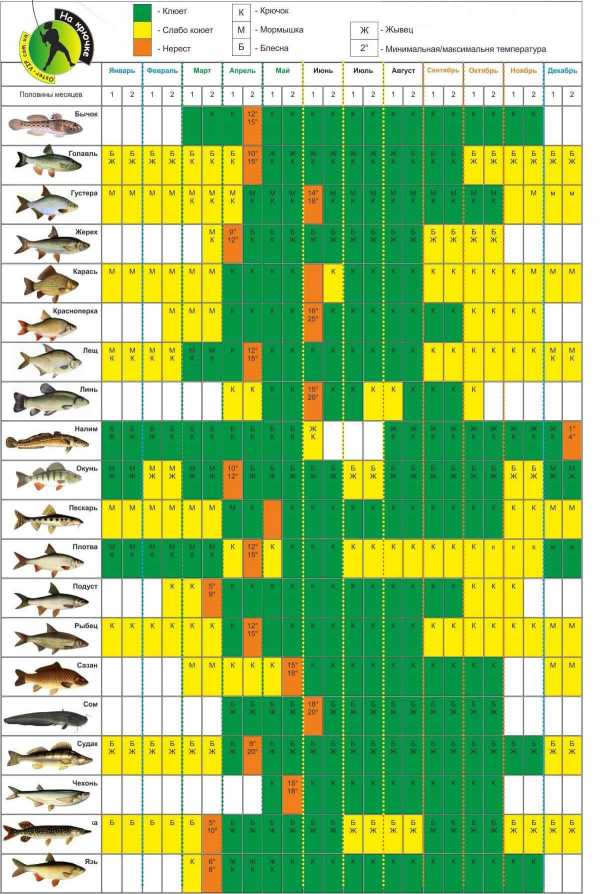 Рыбный календарь клева